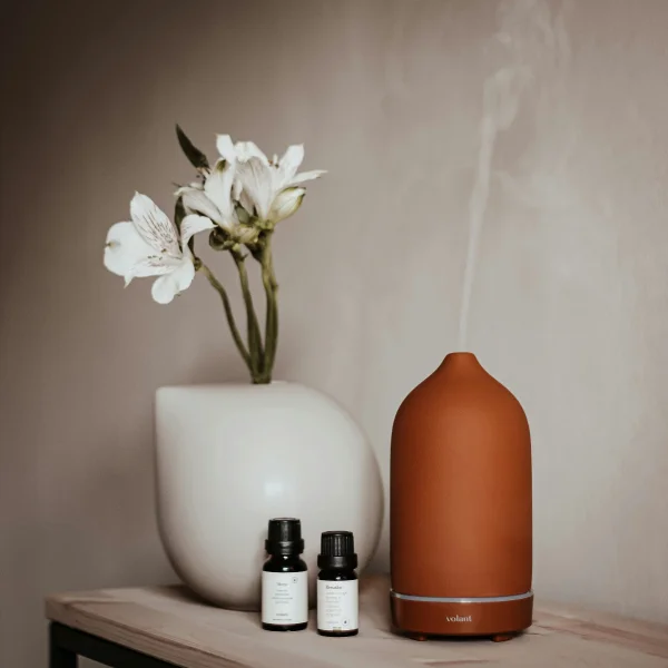 Aromatic diffuser with essential oils and flowers.